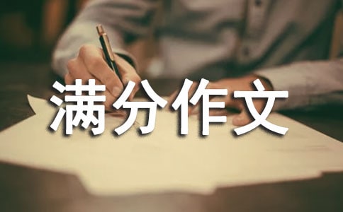 满分作文500字