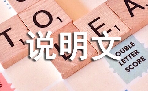 说明文