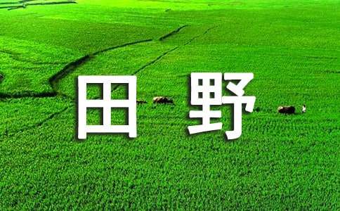 读《田野上的白发》有感