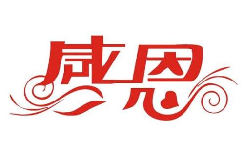 《感恩生活》读后感