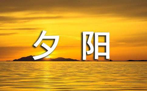 夕阳下的陪伴作文