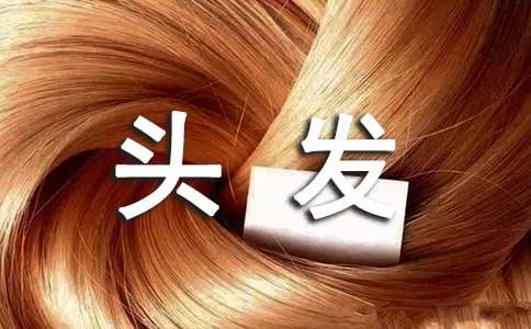 《陈土的六根头发》读后感