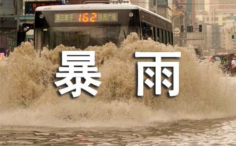 读《暴雨筛》有感