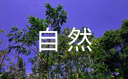 奇妙的大自然二年级作文
