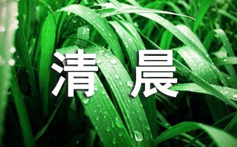 一个特别的清晨作文