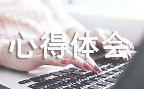 初中心得体会