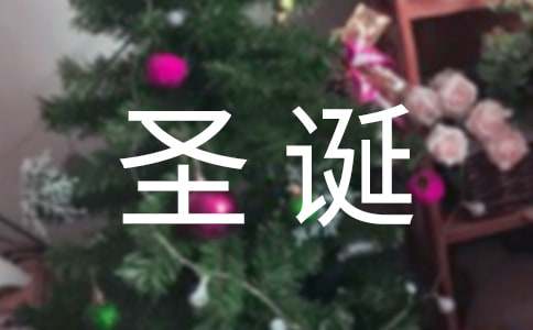 有趣的圣诞节日记