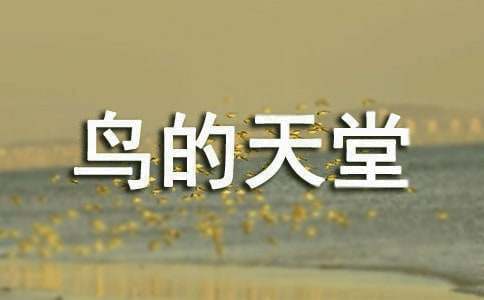 鸟的天堂的导游词
