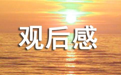 海底捞你学不会观后感