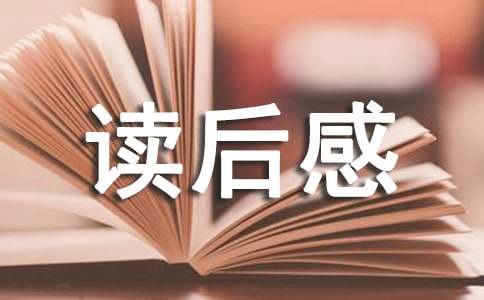 经典名著西游记读后感