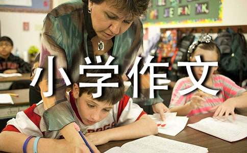 写好小学作文500字