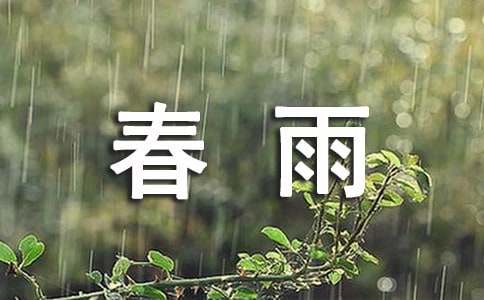 《春雨沙沙》观后感