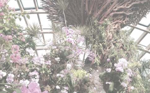读《正午的植物园》有感