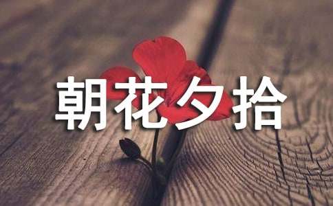 朝花夕拾的读后感