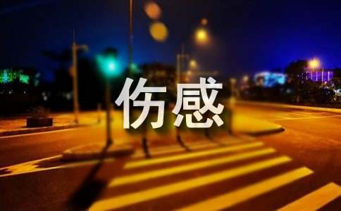 诗意伤感的句子