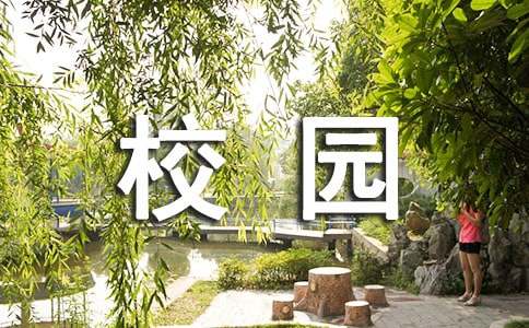 校园生活信息网站打折标语
