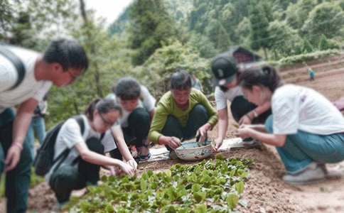 暑假三下乡社会实践心得体会