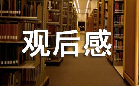 《神奇飞书》观后感