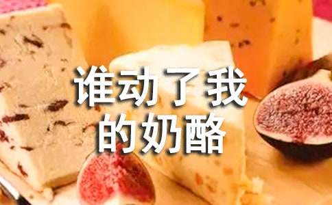 谁动了我的奶酪读后感
