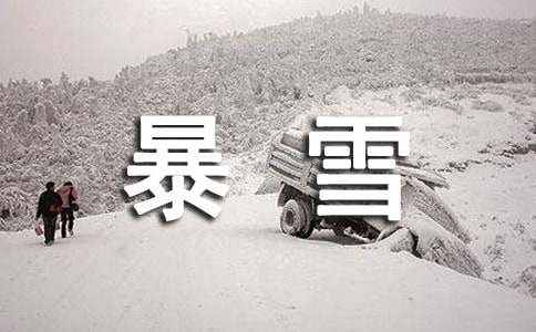 读《猎犬暴雪》有感
