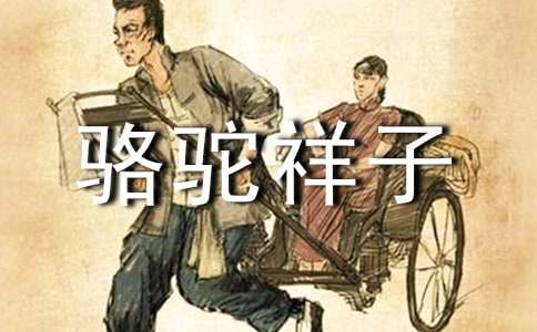 骆驼祥子读后感500字