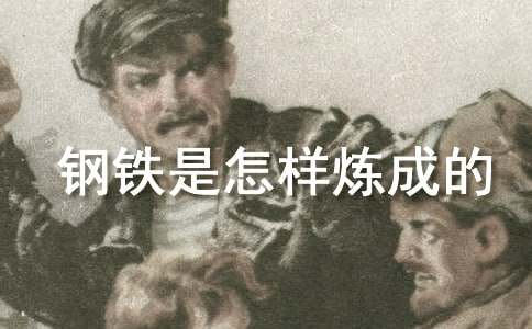 钢铁是怎样炼成的读后感500字