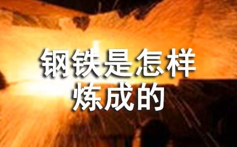 钢铁是怎样炼成的读后感
