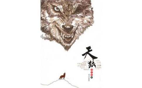 《天狼》读后感800字