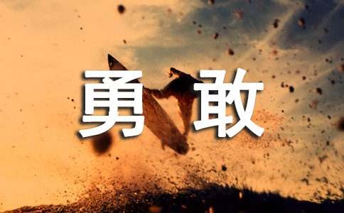 《勇敢的船长》读后感500字