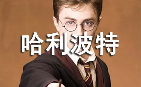 《哈利波特与混血王子》读后感500字