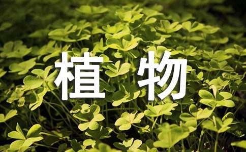 读《101个植物的实验》有感
