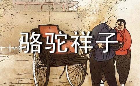 骆驼祥子读后感700字