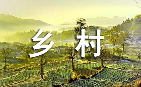 美丽乡村考察观后感