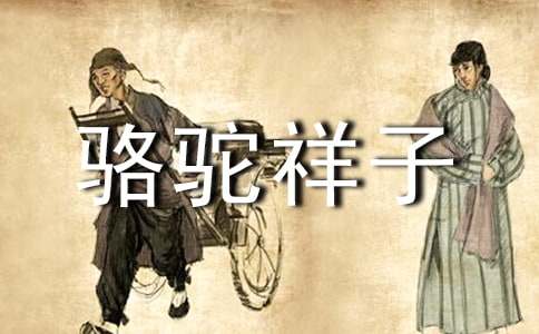 骆驼祥子读后感800字