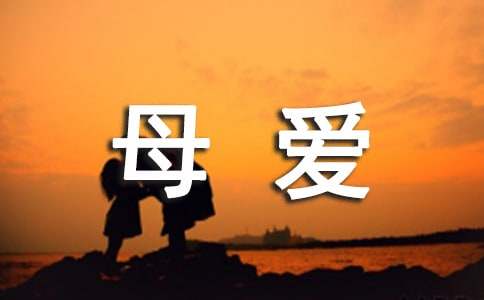读《狼嘴里交换来的母爱》有感