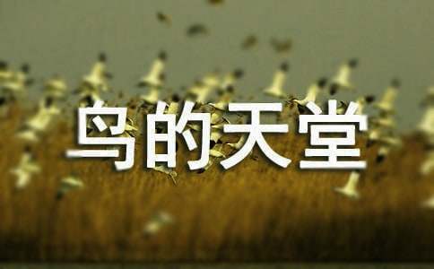 《鸟的天堂》读后感