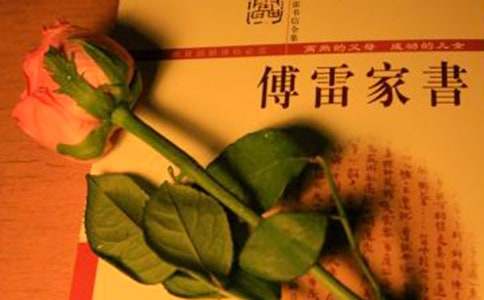 读傅雷家书读书心得体会