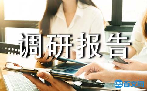 乡镇干部农村调研报告