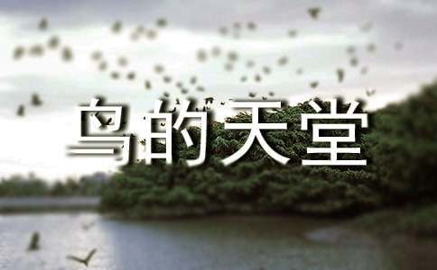 鸟的天堂导游词