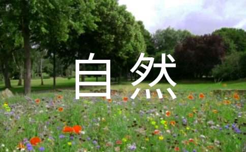 人与自然观后感