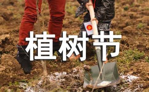 植树节的演讲稿