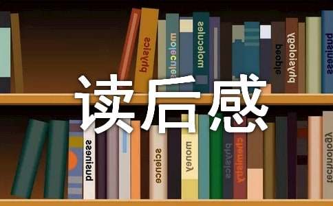 《寻宝记》读后感