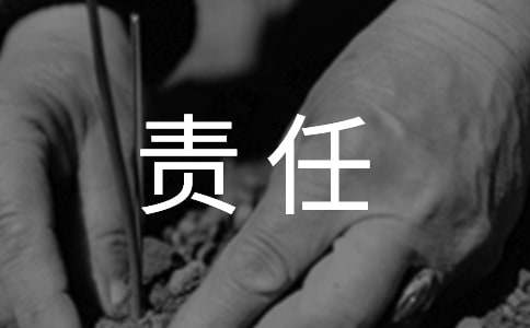 责任心与执行力心得体会