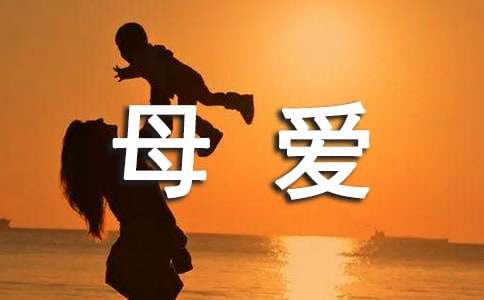 读母爱无言有感
